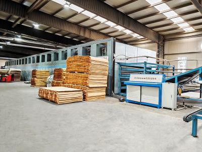 Veneer dryer